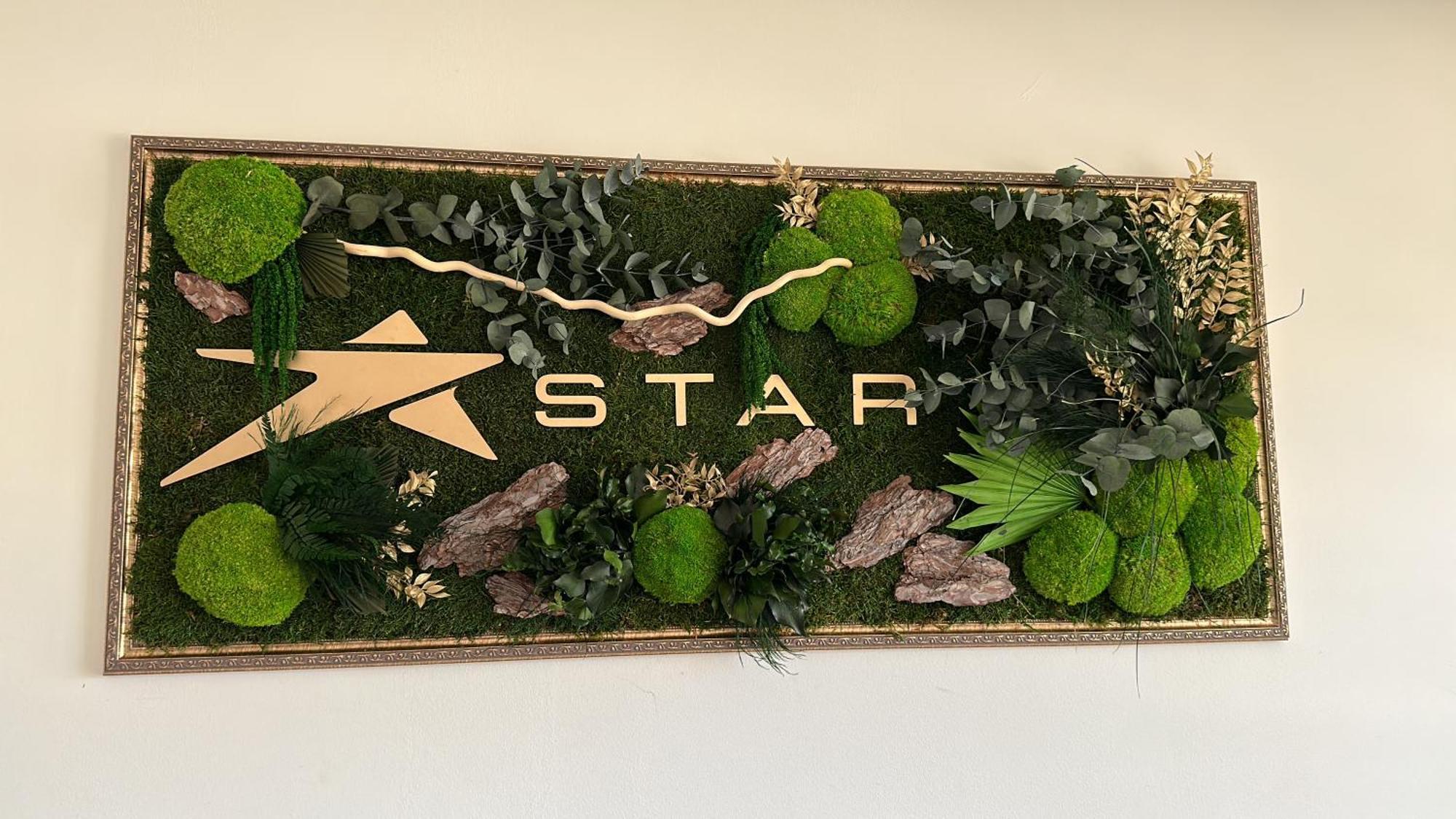 Star Hotel Тульча Екстер'єр фото